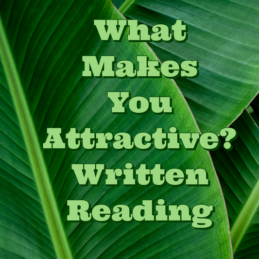 What Makes You Attractive?